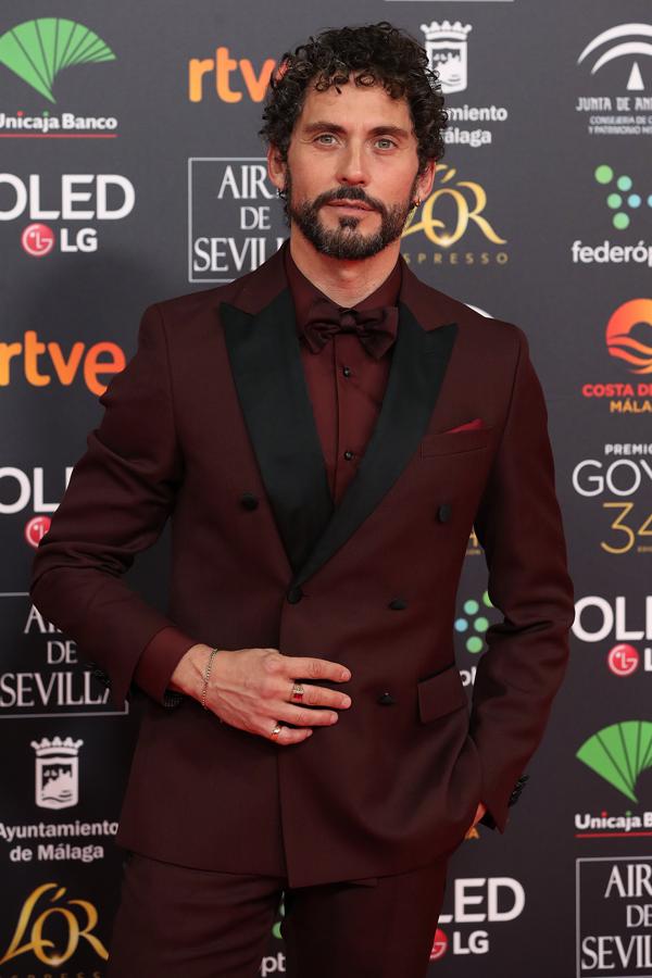 Premios Goya 2020